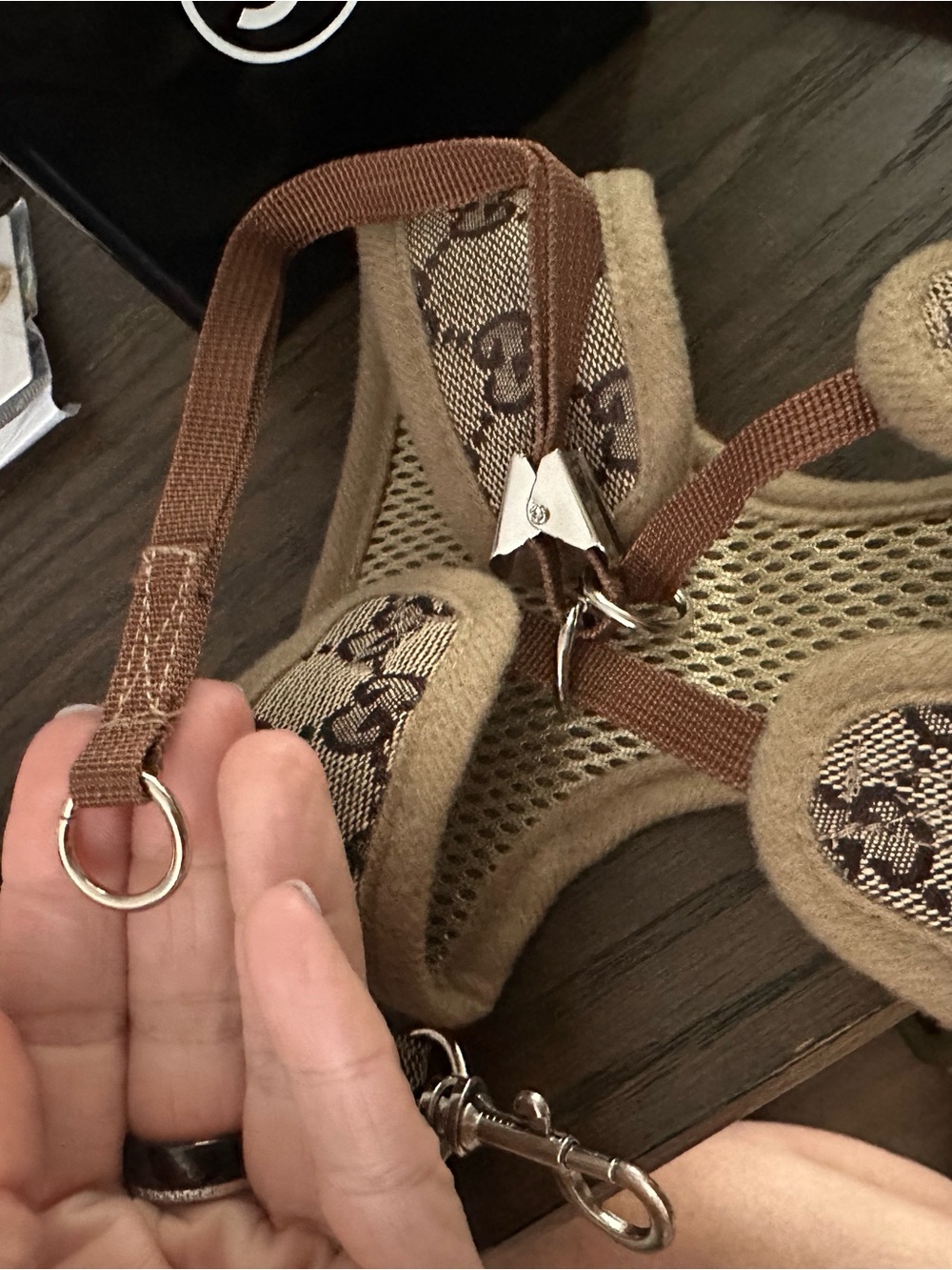 Designer-Inspired Brown Monogram Dog Harness and Leash Set - Picture 2 of 5